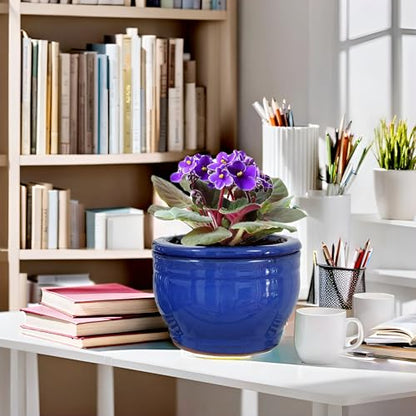 African Violet Pots Self Watering Blue 6 inch - color: Blue