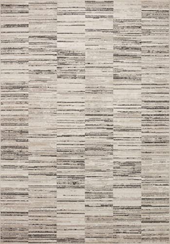 Loloi Darby Charcoal/Sand 4'-0" x 6'-0" Accent Rug - color: Charcoal / Sand, size: 4' x 6' (Rectangular)