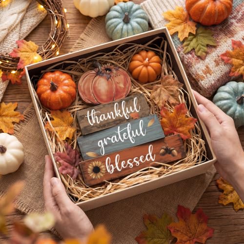Amyhill 4 Pcs Pumpkin Thanksgiving Tiered Tray Wooden Table Sign Decor - style: Blue Pumpkin
