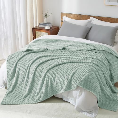 PHF Soft Cozy Fleece Blanket Queen, 340GSM Lightweight Warmth, Sage Green - color: Sage Green, size: Queen(90"x90")