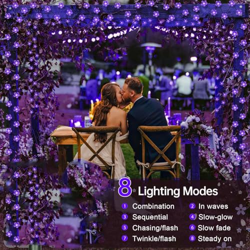 33ft Plug in 100 LED Purple Valentine's Wedding Flower String Lights Decor - color: Purple