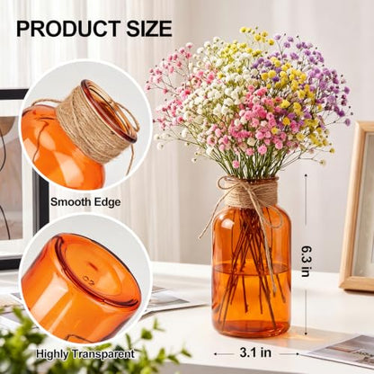 6Pack Mason Jars for Centerpiece Glass Flower Bud Vase Amber Vases - color: Amber