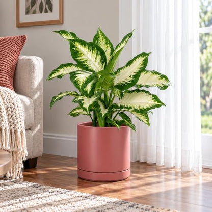 D'vine Dev 10 Inch Ceramic Planter Pot, Dusty Rose, 94-O-E-R - color: Dusty Rose, size: Large