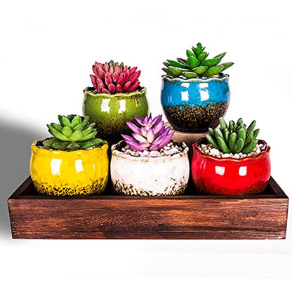 Succulent Pots, 4 Inch Small Plant Pots with Drainage Tray Set of 6 - color: Blue/Green/Red/White/Yellow/Light Blue - 4 Inch