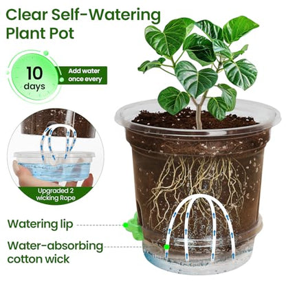 MIXC 12 Pack 6.5 Inch Self Watering Pots for Indoor Plants-Clear Plastic - size: 6.5 Inch (12 Pack)
