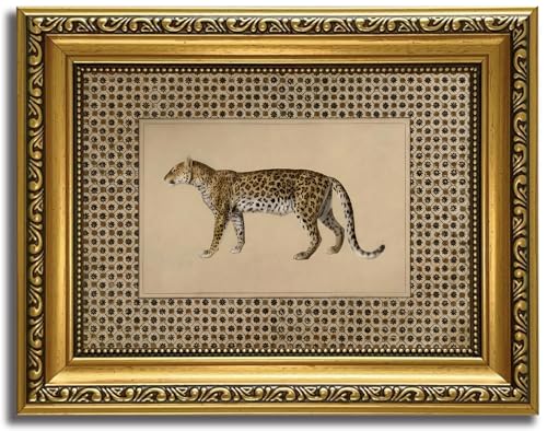 HNNXAR Vintage Gold Framed Leopard Wall Art Cheetah Wall Canvas Art Decor Safari Animal Pictures Paintings Prints Artwork for Bedroom Living Room - color: Cheetah, size: 10"L x 8"W