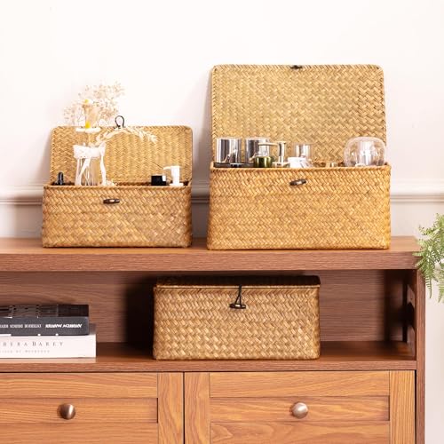 Nonam Wicker Storage Basket with Lid,Seagrass Shelf Basket Set of 2,Natural - color: Natural-S+M