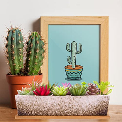 Succulent Pots - 12.1 Inch Large Succulent Planters Pots with Drainage Tray - color: White