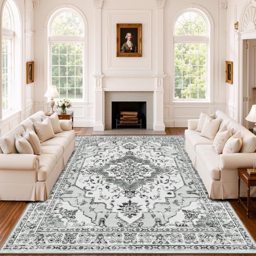 Arenarug 8x10 Washable Area Rug for Living Room, Light Grey - color: Light Grey, size: 8' x 10' (Rectangular)