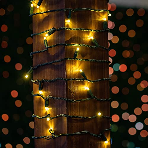 Novelty Lights 35 LED Christmas Mini Light Set, Warm White, 13.5 Feet - color: Warm White