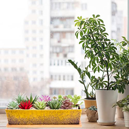 Succulent Pots - 12.1 Inch Large Succulent Planters Pots with Drainage Tray - color: Yellow