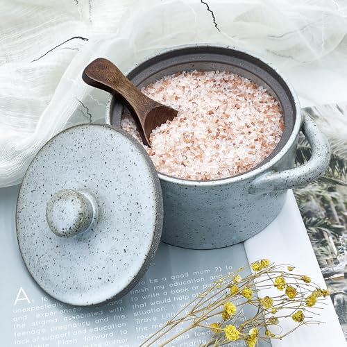 12 oz Ceramic Salt Cellar with Lid & Wooden Spoon,Countertop Salt Container,Sugar Bowl,Spices Jar| Artisan Kitchen Decor(Gray) - color: Gray B