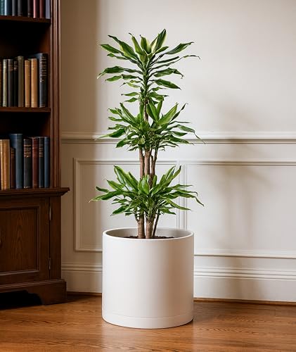 D'vine Dev Plastic Planter Pot with Saucer, 12 in, Oatmeal, 74-X-H-3 - color: Oatmeal, size: 12 Inch