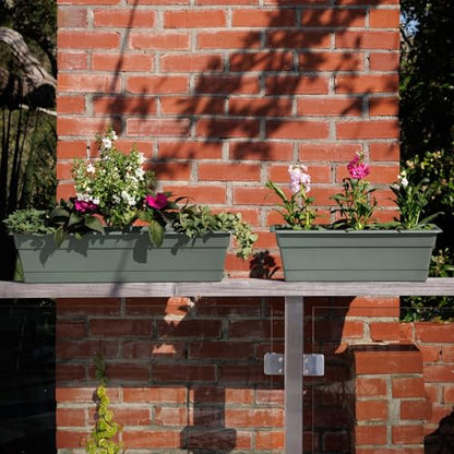 Bloem Dura Cotta 24" Plastic Window Box Planter with Saucer, Basil, 3-Pack - color: Basil, size: 24" (Pack of 3)
