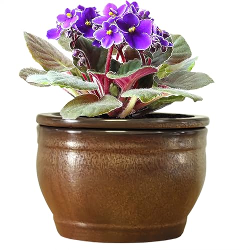 African Violet Pots Self Watering Violet Pot Copper 6 inch - color: Copper