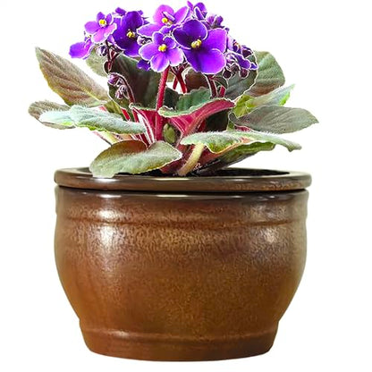 African Violet Pots Self Watering Violet Pot Copper 6 inch - color: Copper