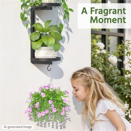 LASZOLA Plant Hanger Holder Window Shelf Wall Mounted Indoor, 2 Pcs Black - color: Dark Black, size: 2