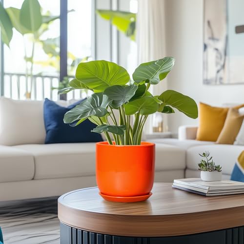 7 Inch Plant Pot - Ceramic Planter with Drainage Hole and Saucer, Modern Round Ceramic Flower Pot for Indoor Outdoor Plants, Plant Lover Gifts, Home Garden Office Decor, Orange - color: Glossy Orange, size: 7 Inch