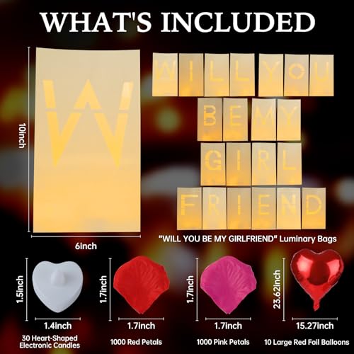 Will You Be My Girlfriend Decorations – Valentine’s Day Surprise Set with Light Up Letters, 30 Tea Light Candles, 2000 Rose Petals, 10 Balloons – Luminary Bags for Romantic Setup - style: Will You Be My Girlfriend