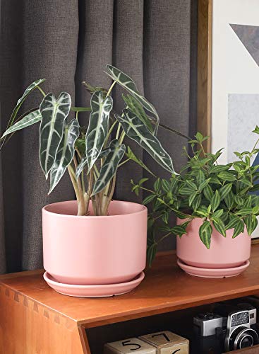 LE TAUCI Ceramic Pots for Plants, 4.3+5.3+6.8 Inch, Set of 3, Pink - color: Pink, size: 4.3"+5.3"+6.8"