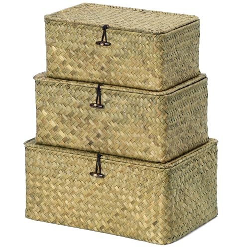 Nonam Seagrass Storage Basket with Lid, Set of 3, Dark Moss Green - color: Dark Moss Green * Set of 3