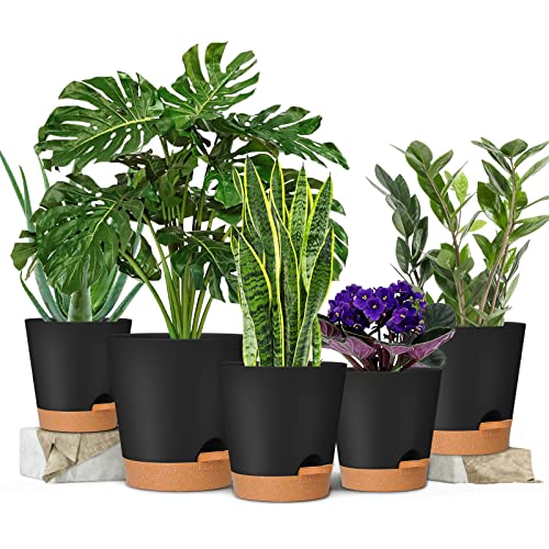 GARDIFE Plant Pots 7/6.5/6/5.5/5 Inch Self Watering Planters with Drainage Hole, Plastic Flower Pots, Nursery Planting Pot for All House Plants, African Violet, Flowers, and Cactus,Black - color: 7-black, size: 7+6.5+6+5.5+5 inch