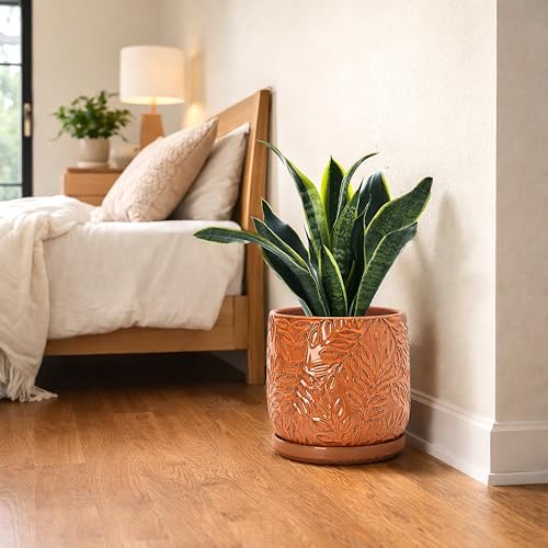 D'vine Dev Embossed Leaves Ceramic Planter, 8 in, Pumpkin, 27-A-Q-J - color: Pumpkin, size: 8 Inch