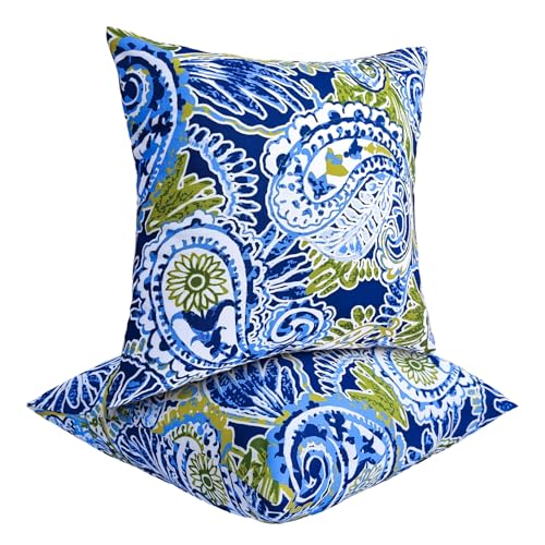 JMGBird Outdoor Throw Pillow Green Outdoor Pillows with Inserts Included - color: Green Paisley Print
