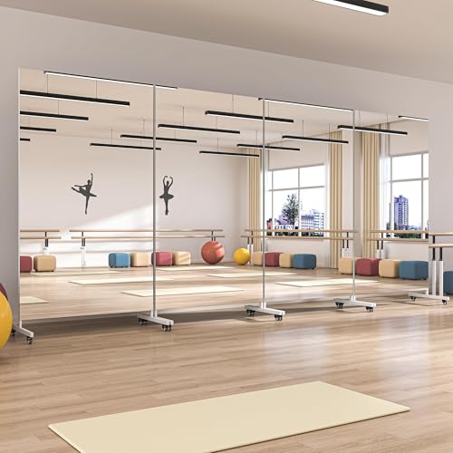 Hasipu 71" x 24" Home Gym Mirror 360° Swivel on Wheels, White - size: 71"L x 24"W