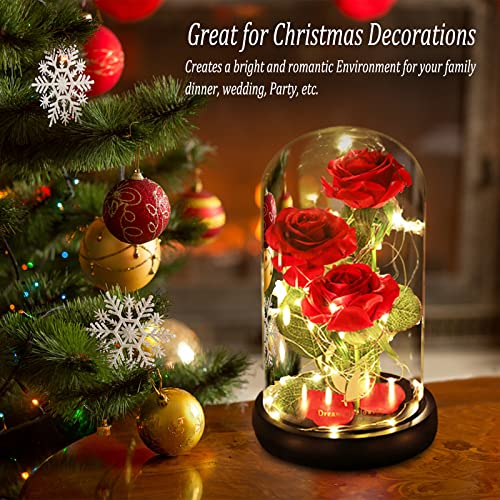 Beauty and The Beast Rose for Mom, Birthday Gifts for Women, Light Up Roses, Glass Dome Rose with LED Lights, Red Roses, Women's Gift for Mom Wife Grandmother - color: Red