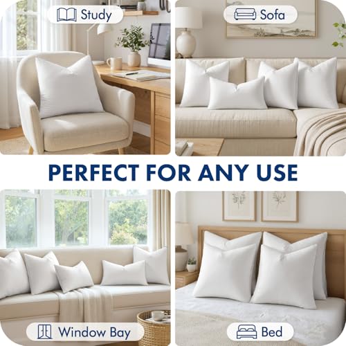 MIULEE 20x20 Inch Pillow Inserts Pack of 4 with 100% Textured Woven Fabric Cover - size: 20x20 Inch