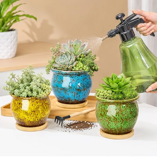 ARTKETTY Succulent Pots, 4.5'' Small Plant Pots with Drainage Tray - color: 4.5'' Colorful 2
