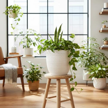 Creative Co-Op Large Matte White Embossed Stoneware Planter - color: Matte White