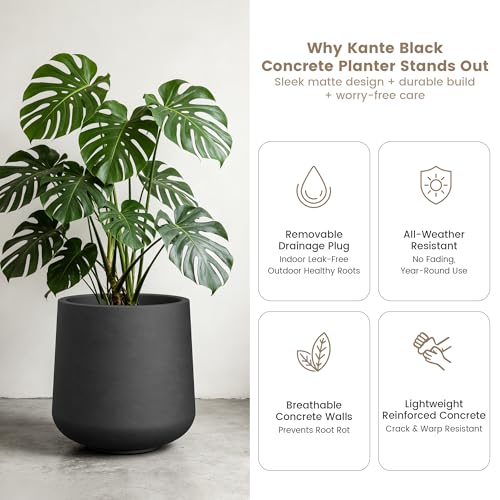 Kante Accent Round Curved Black Concrete Planter 13" Dia, Outdoor - color: Burnished Black, size: 11.6" D