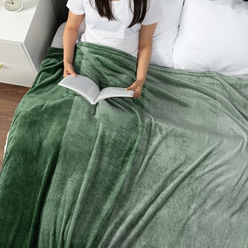 PAVILIA Green Ombre Fleece Throw Blanket for Couch Sofa Bed, 60x80 Twin - color: Gradient - Green, size: 60 x 80 Inches - Twin