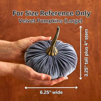 Set of 3 Velvet 6.25 Inch Pumpkins (Harvest, Bronze, Rust) - color: Harvest, Bronze, Rust
