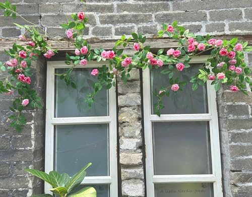 2X 6FT Fake Rose Garland, Flower Garland,Artificial Flower wild Rose Vine - color: Pink, size: 2
