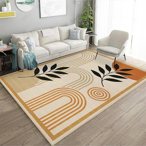 Boho Area Rug 4x6 for Living Room Mid Century Modern Area Rug - color: Boho, size: 4' x 6' (Rectangular)
