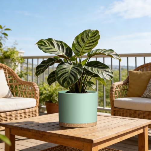 Plant Pots, 10/9/8 Inch 3 Pack Cylindrical Flower Pots with Drainage Holes and Saucers, Plastic Planters for Outdoor Indoor Plants,Green Brown - color: Green With Brown