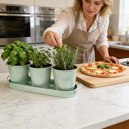 Metal Herb Garden Planter Set with Tray, 3-Pack Green Zinc-Coated Windowsill Plant Pots with Drainage Holes & Handles for Indoor Outdoor Kitchen Garden - color: Green