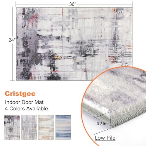 CRISTGEE Door Mat, Front Indoor Door Mat Faux Wool Non-Slip Entryway Rug Absorbent Abstract Throw Rug for Indoor Entrance Hallway Laundry Room, High Traffic Areas, 24X36 Inches, Washable - color: Multi Color, size: 2' x 3' (Rectangular)
