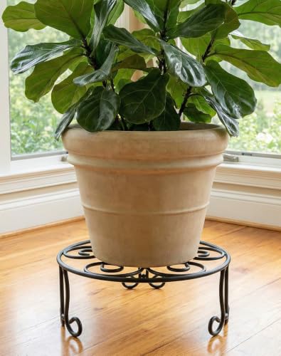 2 Pack Iron Plant Stand Low Profile,13 Inch Diameter Wide Round Metal Flower Stand for Indoor Outdoor Large Plants, Short Heavy Duty Display Holder for Wide Pots, Patio Garden Home Decor,Rustproof Matte Black(2 Pack 13 Diameter 5 inches Tall Black) - colo