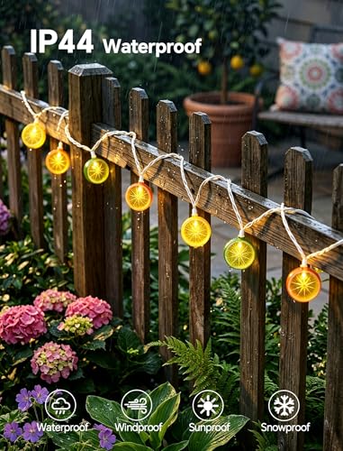 8.5Ft Lemon String Lights,10 LED Summer Outdoor Fairy Lights Plug in - color: Lemon String Lights