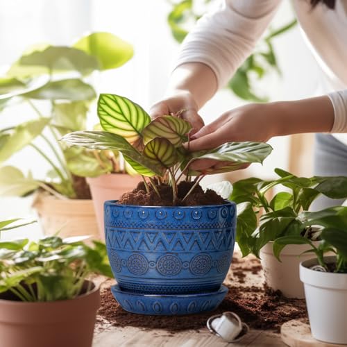 G EPGardening Pot for Plants, 5 Inch Ceramic Planter, Blue - color: Triangle Blue