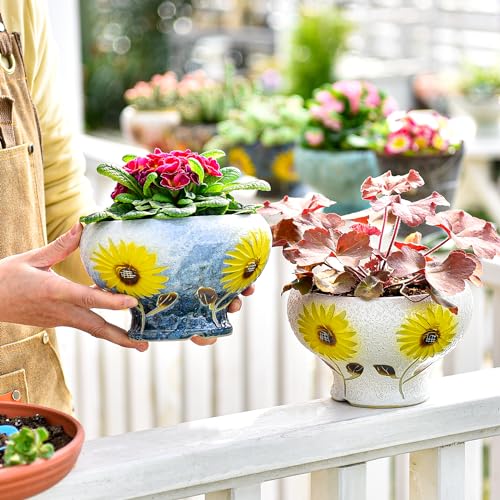 Sungmor 4in Ceramic Succulent Planters Style-e (Dia.: 6.9inch & H: 4.3inch) - color: Style-e (Dia.: 6.9inch & H: 4.3inch)