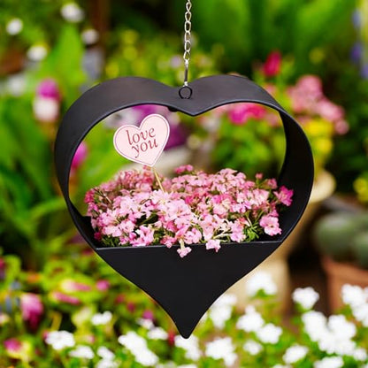 Metal Plant Hangers Indoor and Outdoor: Pots with Drainage Hole - color: Black Heart