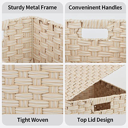 GRANNY SAYS Wicker Baskets with Lids, Woven Storage Basket with Lid - color: Butter Milk, size: 3 Pack