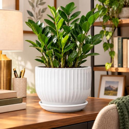 8 Inch Ceramic Plant Pot,White - color: Pure White, size: 8 Inch(1 PCS)