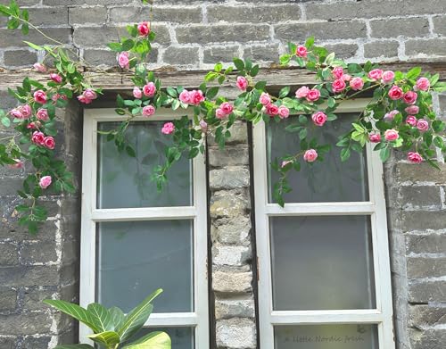 1X 6FT Fake Rose Garland, Flower Garland,Artificial Flower wild Rose Vine - color: Pink, size: 1