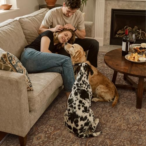8X10 Washable Area Rug for Living Room, Vintage Non-Slip, Rustic Brown